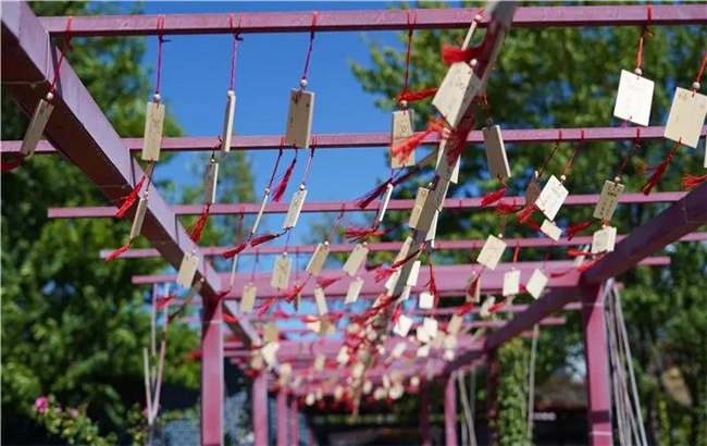 賞花親水、荷塘野趣……楚雄東華濕地公園許你一個繽紛夏日