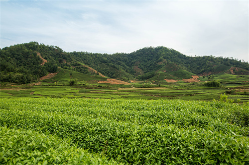 云南研學旅行地點推薦--昆明親子研學旅行  啟發(fā)孩子思想  啟迪孩子思維